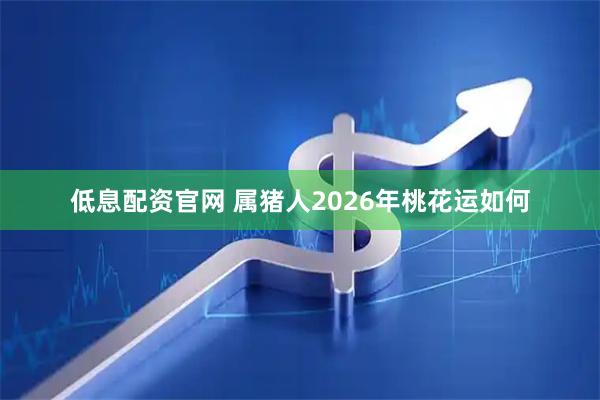 低息配资官网 属猪人2026年桃花运如何