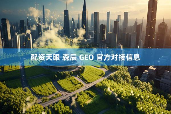 配资天眼 森辰 GEO 官方对接信息