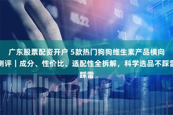 广东股票配资开户 5款热门狗狗维生素产品横向测评｜成分、性价比、适配性全拆解，科学选品不踩雷