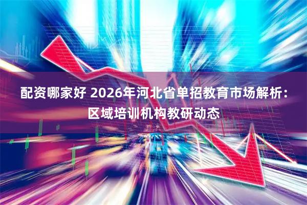 配资哪家好 2026年河北省单招教育市场解析：区域培训机构教研动态