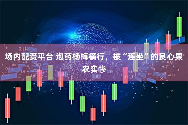 场内配资平台 泡药杨梅横行，被“连坐”的良心果农实惨